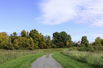Fototapeta na wymiar Autumn foliage along the hiking trails. Rochester, New York