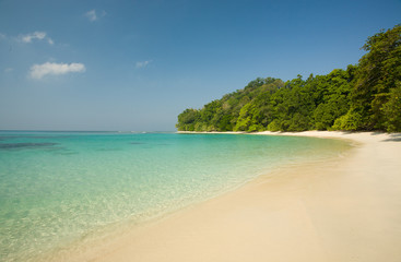 Beach no 7, Havelock, Andaman Islands India, tropical ancient forest, turqouise waters, white sandy...