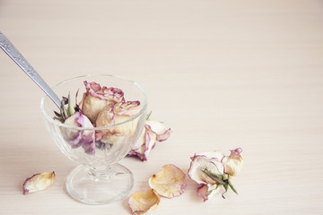 Romantic horizontal banner on light background. Delicate dry flowers