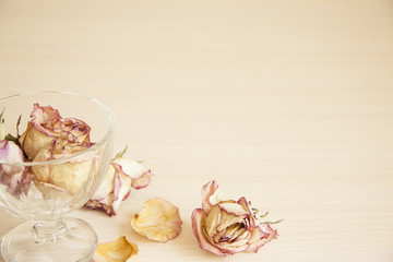 Romantic horizontal banner on light background. Delicate dry flowers