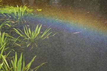 Rainbow over the water