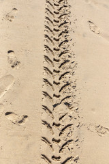 Tractor Tracks In The Sand
