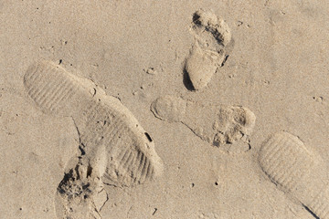 Foot Prints In The Beach Sand