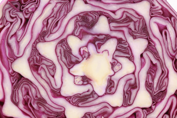 Obraz premium cuted purple cabbage background