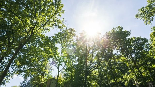 Cemetery with trees and bright sun at Maria Radna Franciscan Monastery Lipova, Arad county, Romania.
Magic Lantern Raw Video