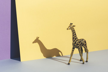 Plastic toy giraffe, on yellow and blue background casting its shadow.