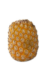 fresh mini pineapple isolated