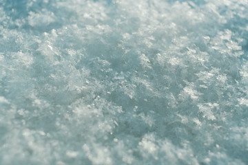 Fototapeta na wymiar Winter turquoise background with soft focus of loose fresh snow with snowflakes.