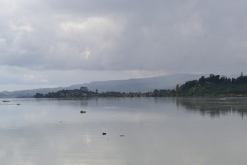 Obraz na płótnie Canvas Lake Rotorua