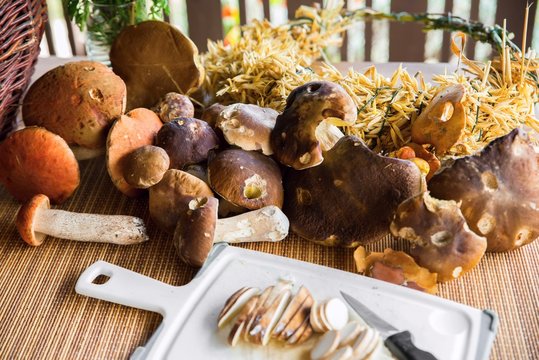 Pile of forest mushroom on table.