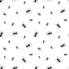 Ant seamless pattern. Black and white vector seamless pattern with ants. Animal background.