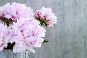 Fototapeta na wymiar Bouquet of pink peonies on grey stone background