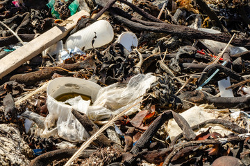 The plastic pollution in our seas