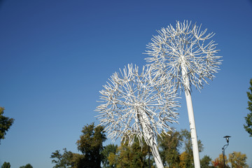 Iron dandelion in public park, concept of independence