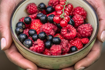 A cup with ripe berries of strawberry, raspberry, black currant, red currant