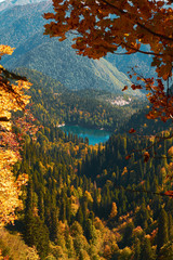autumn mountain landscape with yellow, orange and red foliage trees and green pines. Small Ritsla Lake View