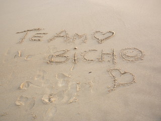 te amo,amor,poes&iacute;a,bicho,playa,mar,naturaleza,paisaje,belleza,relax,relajaci&oacute;n,relajar,paz,tranquilidad,arena,olas,zen,spa,aire puro,pureza,atardecer,dorado,sol