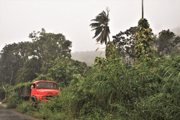 Guadeloupe, camion prisonnier des lianes sur la route de la trace des contrebandiers