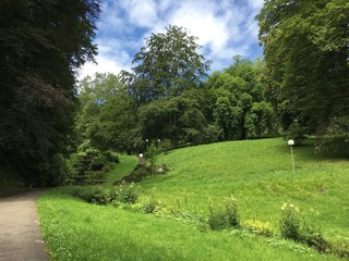 garden in spring