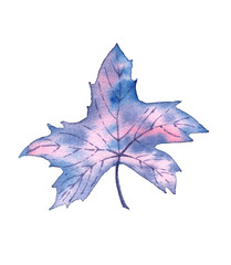 Set with watercolor winter leaves. Frozen autumn.