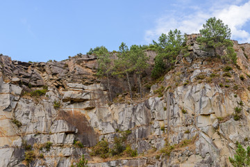 landscape, trees on the rocks above the water