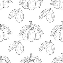 Kumquat. Fruit, leaves, branch. Background, wallpaper, seamless, texture. Monochrome