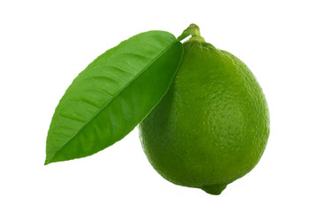 Fototapeta na wymiar green fresh lime with green leaf isolated on white