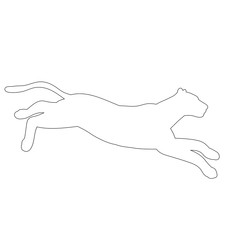 sketch cheetah, jaguar jumping