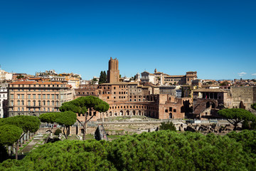 Fototapeta na wymiar Rome cityscape with green trees and old architecture. Daylight with blue sky