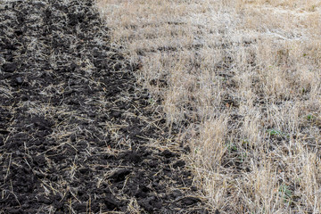 Fototapeta na wymiar Dark wheat field after harvest