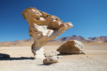 Fototapeta na wymiar Arbol de Piedra - tree of rock, Siloli desert - Bolivia
