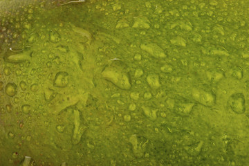 green mango with water drops background