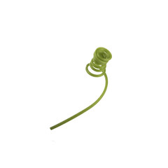 tendril of passion fruit isolated on white background