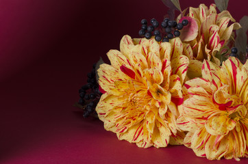 Bright yellow dahlias on a notebook against dark purple background. Autumn, fall romantic concept.