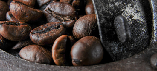 coffee grain macro photo. made in the old coffee mill