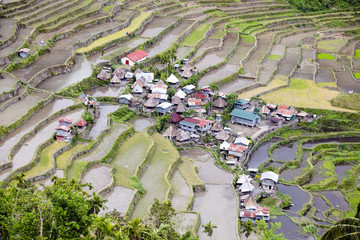 Rice fields of Batad Province Ifugao, Philippines; One of the oldest ricefields in the world - People of seasoned warriors and wood carvers, formerly head cutters, the Ifugaos perpetuate today as best they can their traditions and beliefs. Because defores