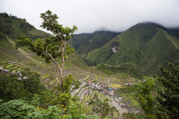 Rice fields of Batad Province Ifugao, Philippines; One of the oldest ricefields in the world - People of seasoned warriors and wood carvers, formerly head cutters, the Ifugaos perpetuate today as best they can their traditions and beliefs. Because defores