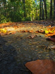 herbst in Annaberg-Buchholz