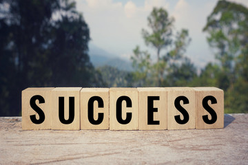 Motivational and inspirational word - ‘SUCCESS’ word written on wooden blocks. Blurred styled background.