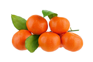 Mandarins on branch with green leaves on a white background isolated close up