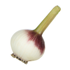young garlic isolated on white background