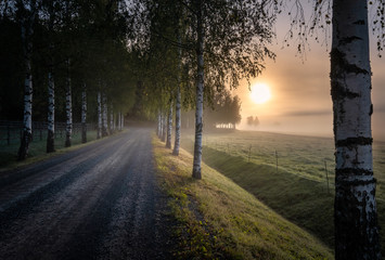 Idyllic sunrise landscape with road and fog at beautiful autumn morning in Finland
