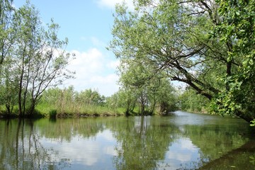 Fototapeta na wymiar Small river with green trees along both shores