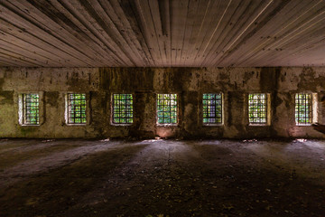 Cela © Piotr_Kardas