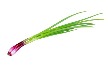 Obraz na płótnie Canvas red onion with leaves isolated on white