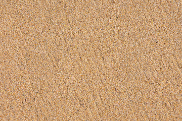 Fine sea sand texture on beach, background