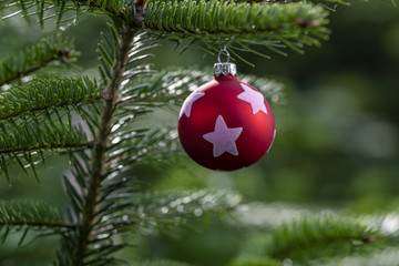 Christbaumschmuck an einem Gr&uuml;nen saftigem Tannenzweig