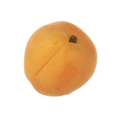apricot isolated