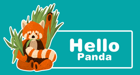 Illustration Of The Red Panda. The main character for all children! This cute creation will easily fit into any interior of the children's room!