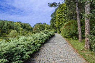 botanical park with a set of trees